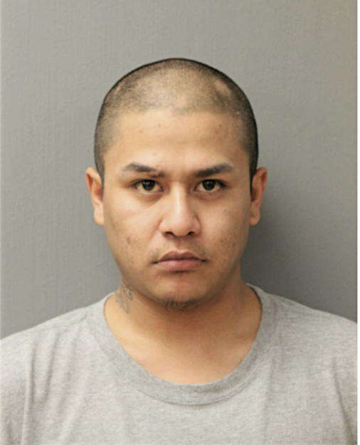 OMAR SOTO, Cook County, Illinois
