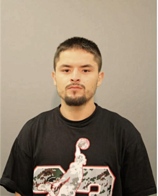 JOSE C TORRES, Cook County, Illinois