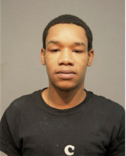 DAVID ANDERSON, Cook County, Illinois