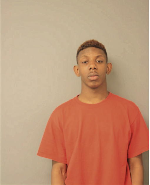 VERNON L BEASLEY, Cook County, Illinois