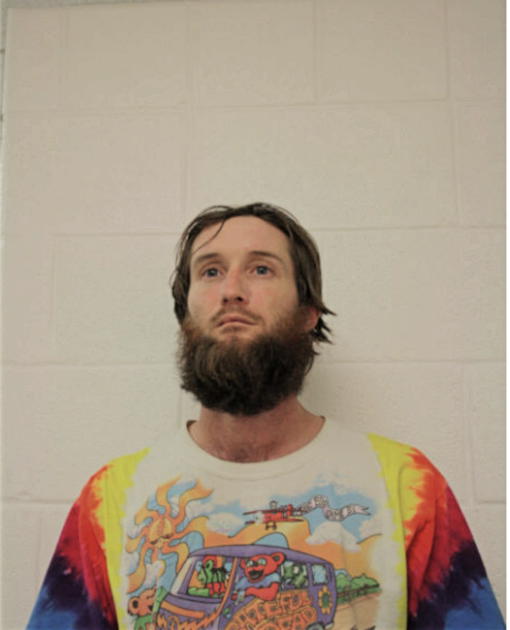 DANIEL JUSTIN BOYD FELDT, Cook County, Illinois