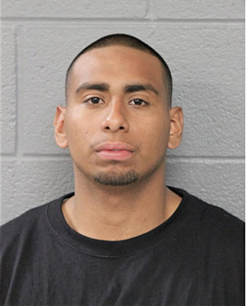 MARIO CALDERON, Cook County, Illinois