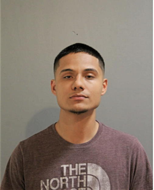 FRANCISCO J ESTRADA, Cook County, Illinois