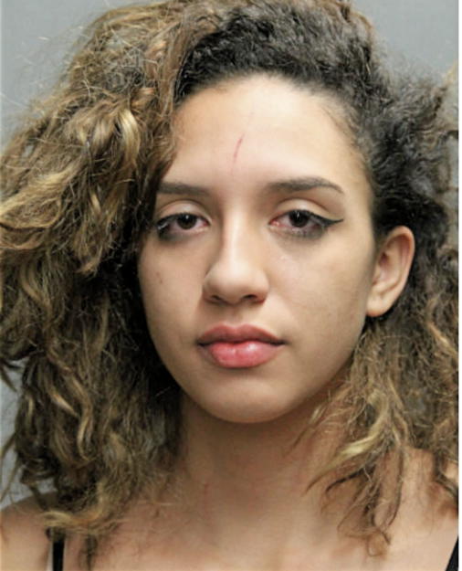 DIANA A GARCIA, Cook County, Illinois