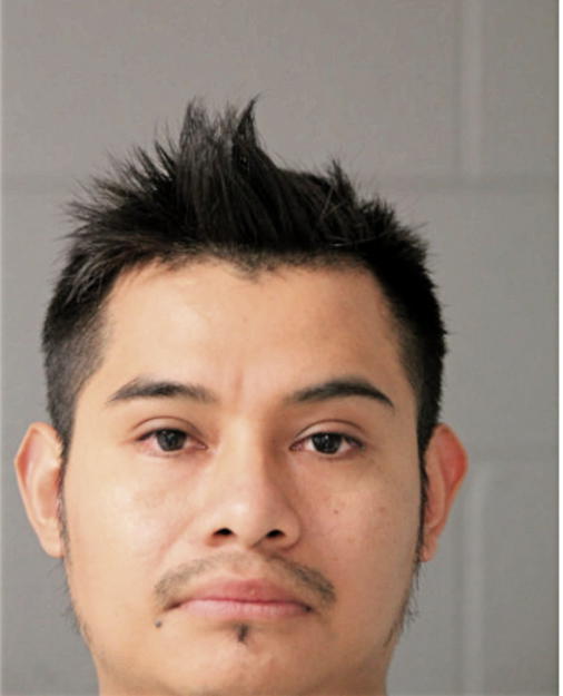 ELISEO LIMA GONZALEZ, Cook County, Illinois