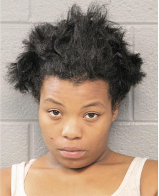 BRIANNA JOHNSON, Cook County, Illinois