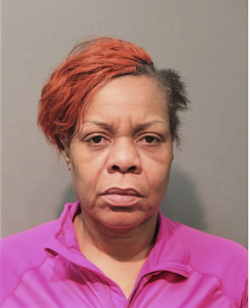 BRENDA E JONHSON, Cook County, Illinois