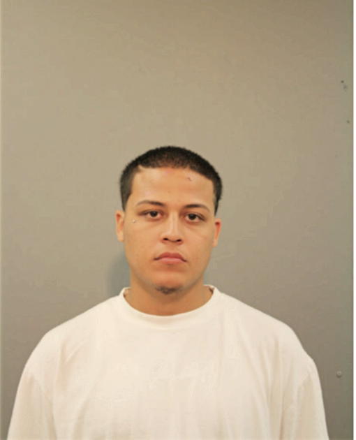 DAVID A MARTINEZ, Cook County, Illinois