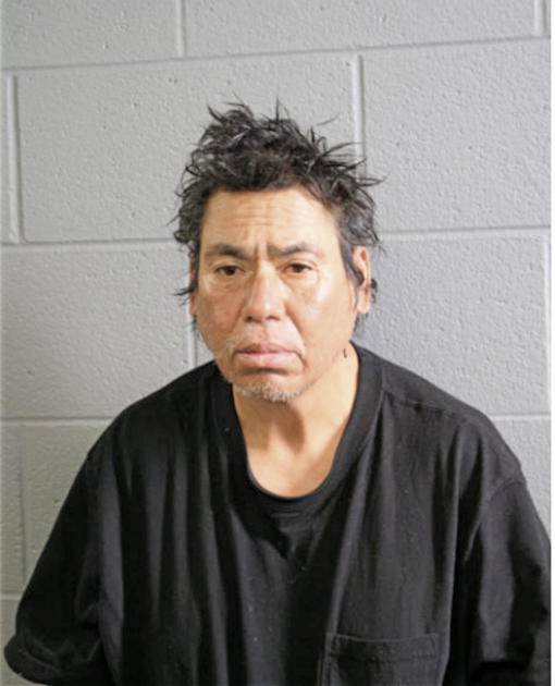SAUL MENDOZA, Cook County, Illinois