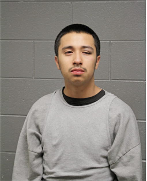 JESUS ALFREDO PERALTA-CULIN, Cook County, Illinois