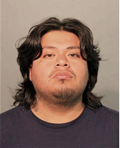 PEDRO OCAMPO PINEDA, Cook County, Illinois