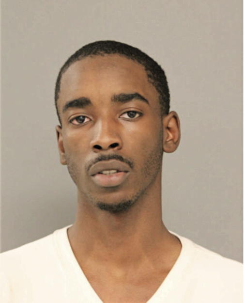 DAVON N RICHARDSON, Cook County, Illinois