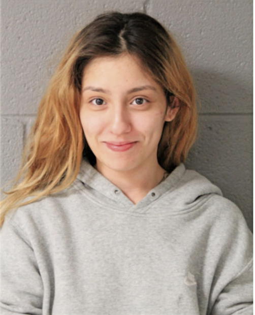 STEPHANIE M RIVAS, Cook County, Illinois