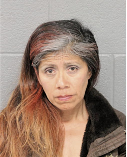 THERESA N RIVERA, Cook County, Illinois