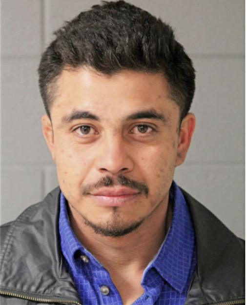 FRED SEPULVEDA-SANCHEZ, Cook County, Illinois