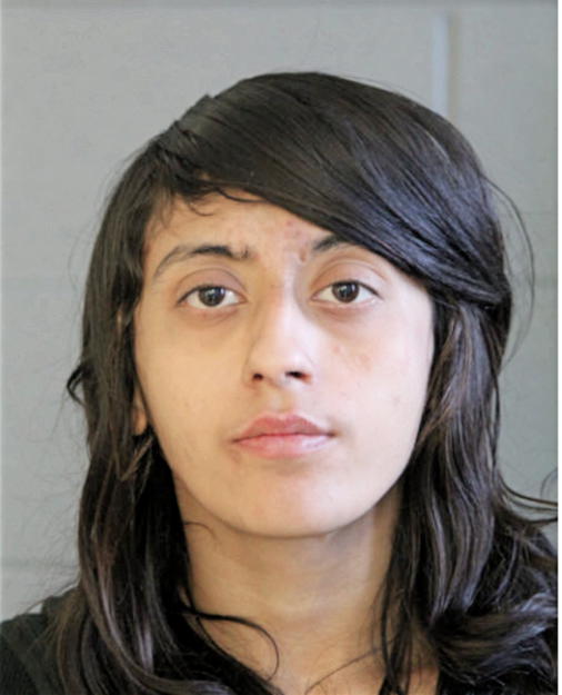 ROSALINA SOLIS, Cook County, Illinois