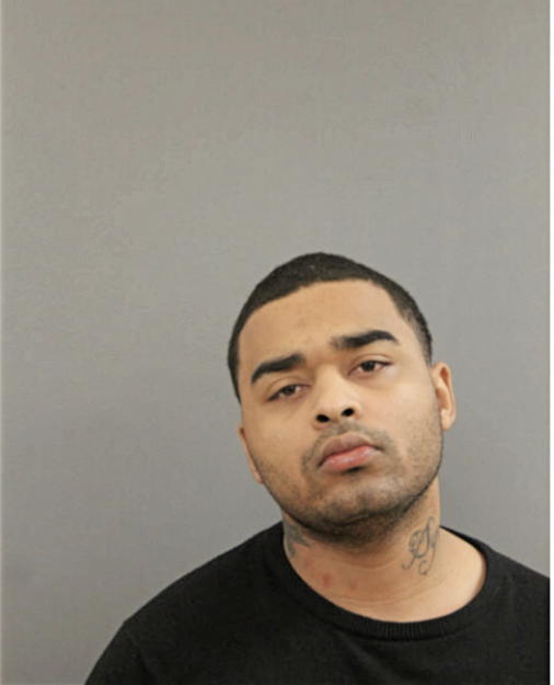 WADE L SUTHERLAND, Cook County, Illinois