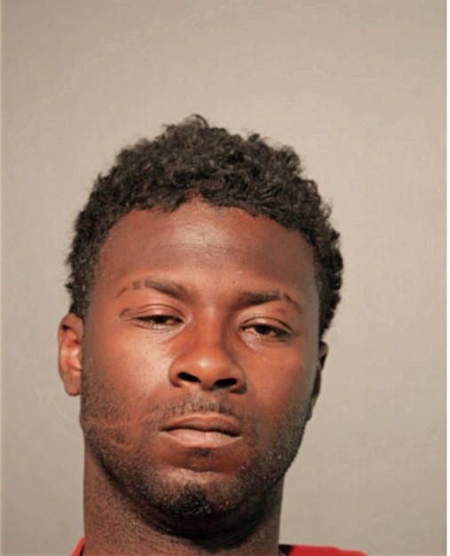 JESSE J WINFORD, Cook County, Illinois