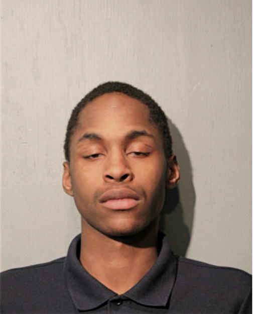 ROBERT R YOUNGBLOOD, Cook County, Illinois
