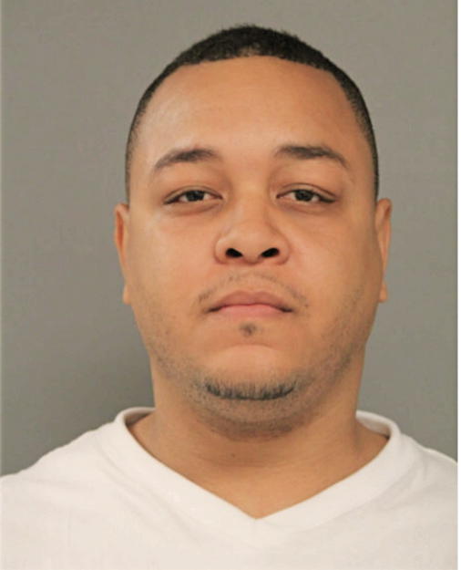MYRON I BIRK, Cook County, Illinois