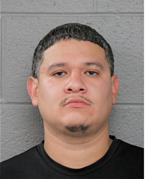 DAVID MERCADO BRACAMONTES, Cook County, Illinois