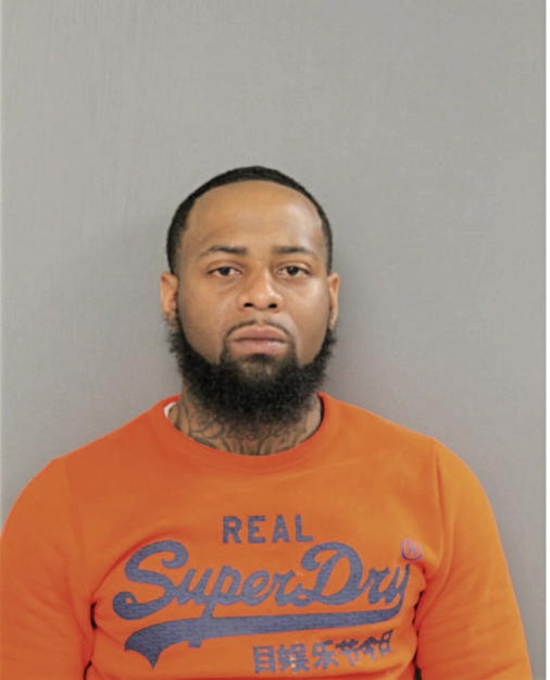 CRAIG A BRYAN, Cook County, Illinois