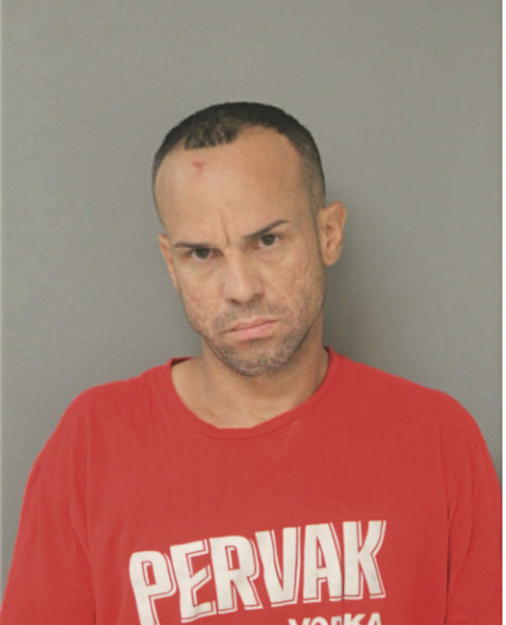 LUIS E BURGOS, Cook County, Illinois