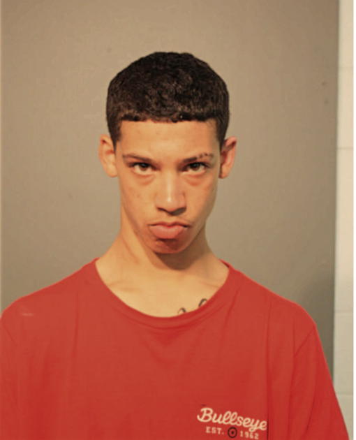 DONNY CARBONE, Cook County, Illinois