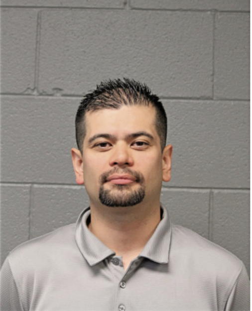 CESAR FERNANDEZ, Cook County, Illinois