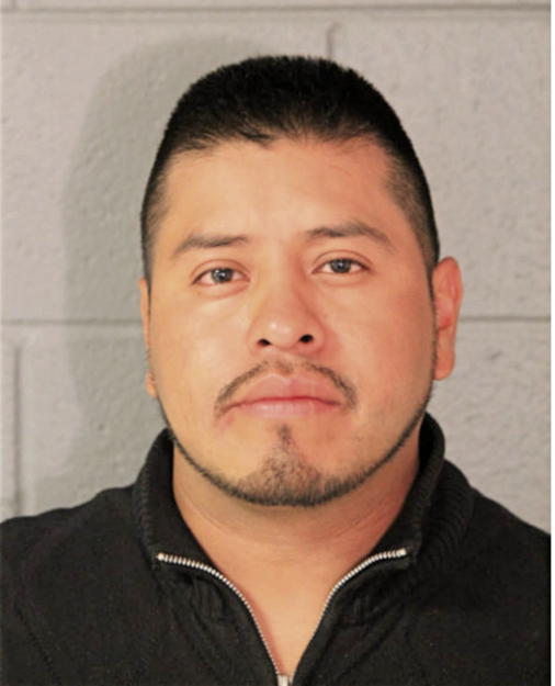 FERNANDO GOMEZ, Cook County, Illinois
