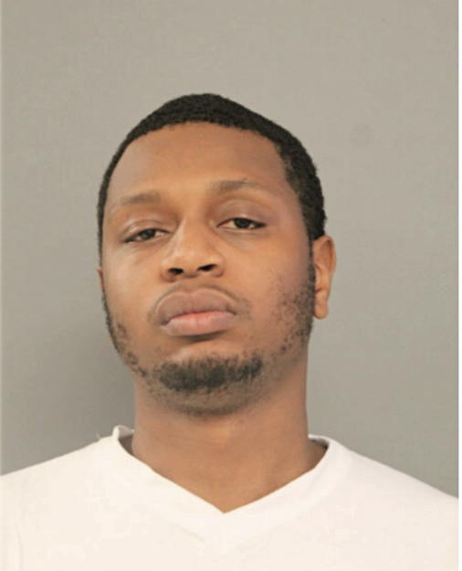 CHRISTOPHER A HAMILTON, Cook County, Illinois