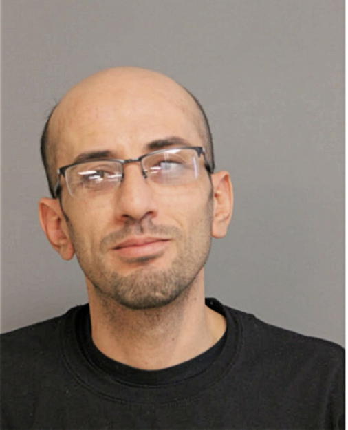 RAMI A HAMMAD, Cook County, Illinois