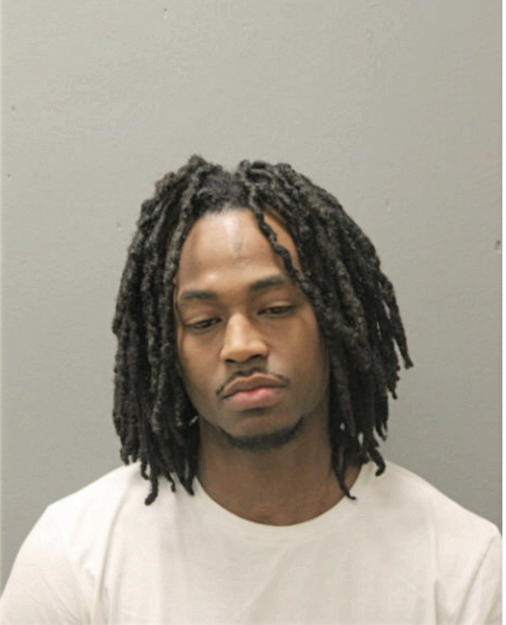 RONALD M HICKS, Cook County, Illinois