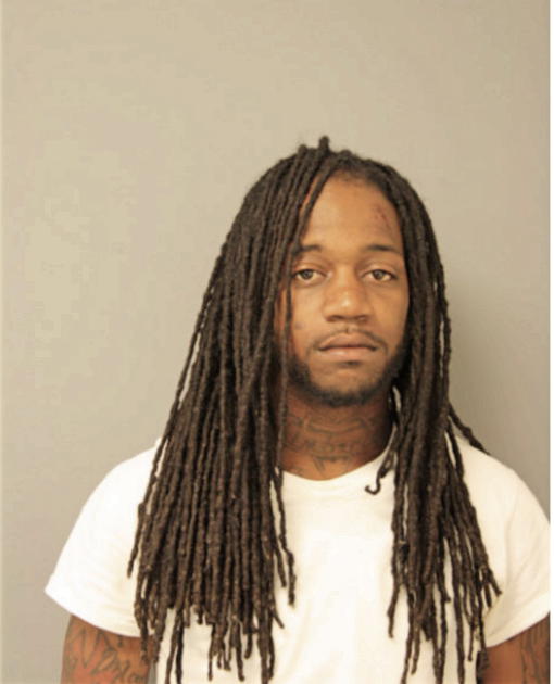TERRENCE L HOLBROOK, Cook County, Illinois