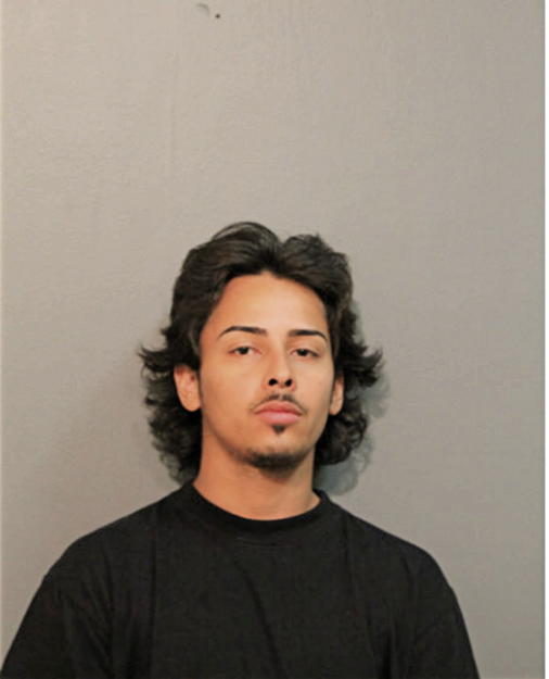 LUIS A HUERTA, Cook County, Illinois