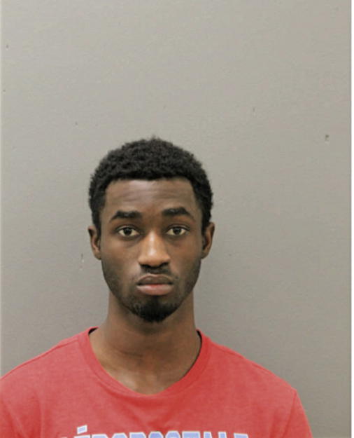 STEVEN L MCCLENNON, Cook County, Illinois