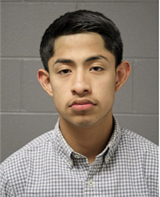 MARCO A MENDOZA, Cook County, Illinois