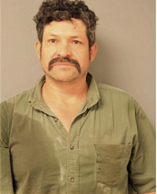HERON PEREZ, Cook County, Illinois