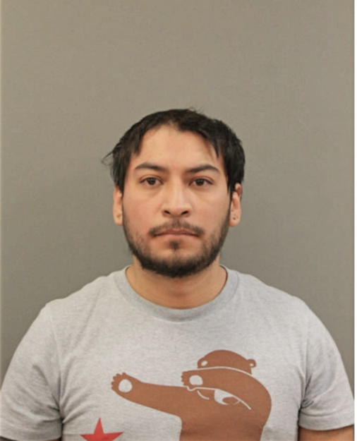 GIOVANNI A PINEDA, Cook County, Illinois