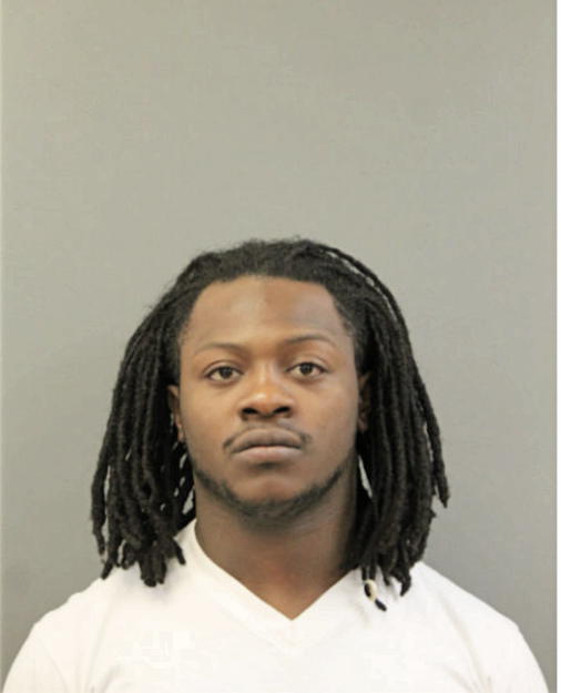 DAMEON N REED, Cook County, Illinois