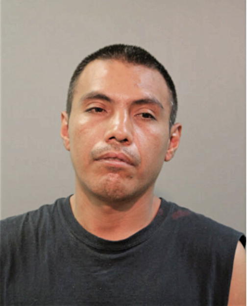 ADRIAN REYES, Cook County, Illinois