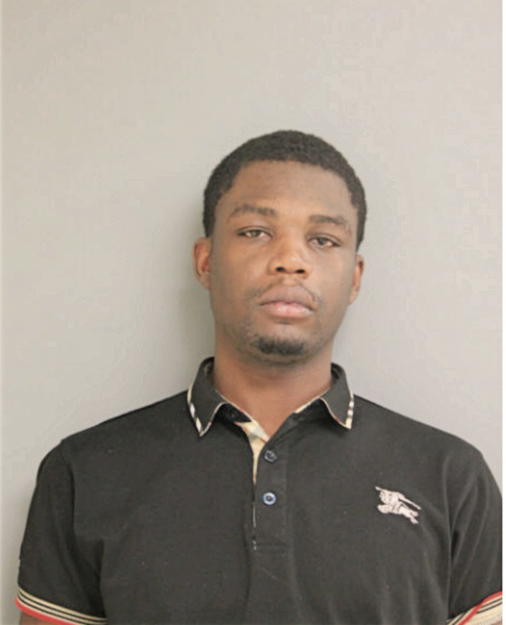 LEVONTA E ROGERS, Cook County, Illinois