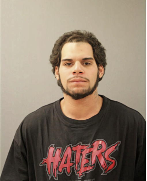 ANTHONY I SANCHEZ, Cook County, Illinois