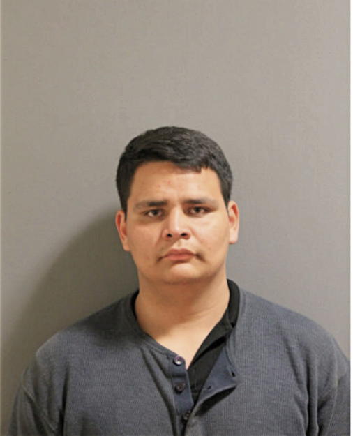 LUIS E SUAREZ, Cook County, Illinois