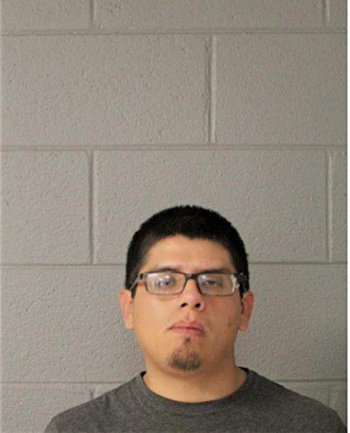 JORGE L TENA, Cook County, Illinois
