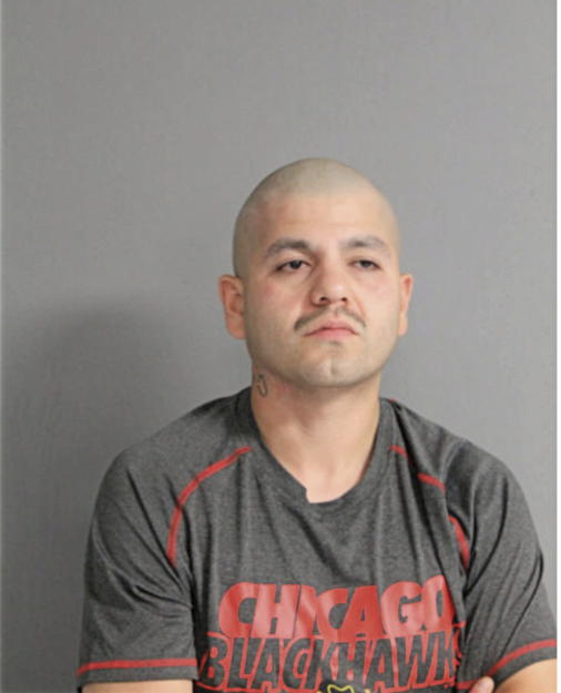 ERIK VALDEZ, Cook County, Illinois