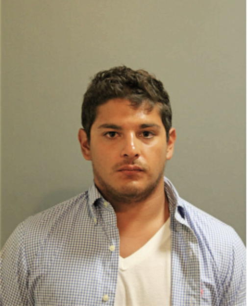 NICHOLAS A VALDEZ, Cook County, Illinois