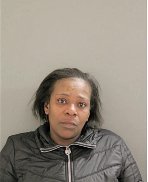 INDI C ANDERSON, Cook County, Illinois