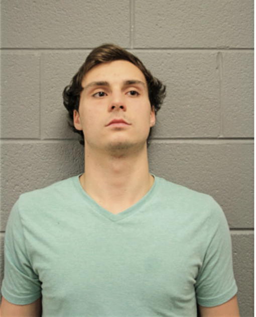 NICKOLAS BRIAN BEAUMONT, Cook County, Illinois