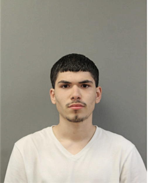 JUSTIN BERVERENA, Cook County, Illinois